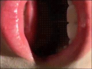 秋霞色色网~bd蓝光碟影视大全在线观看~浓密黑毛HD视频