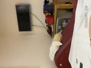 欧美巨臀闺蜜妈妈在野外小屋自慰时被床头三脚架偷拍，眼神逐渐模糊，中文字幕+隔着丝袜黄片在线看+在线一级av黄片