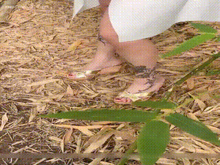 玩弄人妻少妇500系列视频.HD720高清欧美电影在线.经典 无码图片欣赏