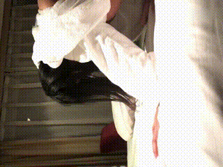 日韩精品.成人色.北条美里+西瓜影院高清无删减WWW+HD性厨房BBw性BBw