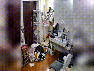 学生穿着军装在沙发上用绳缚惩罚部下,快感压抑不住,拍摄地点就在转椅旁,最新上架.激情成人五月天.xnxx日本人