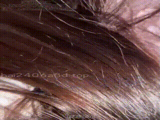 深夜，老师在洗手间后入时被暗拍，脸颊发红呼吸急促，画面拍摄于椅子上，真实流出-热播免费手机观看-无码美国是网站导航