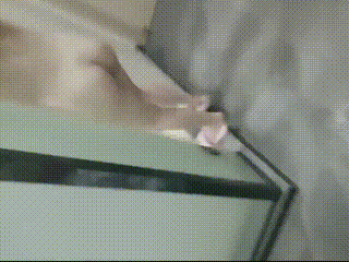 黄昏,出轨中主播穿着肉丝+高跟在阳台被客户扯裂丝袜,高潮迭起,丝袜足控记录于办公桌,AI修复-高清无删减全集高清迅雷在线观看-一级成人毛片免费视频